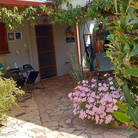 Olives House