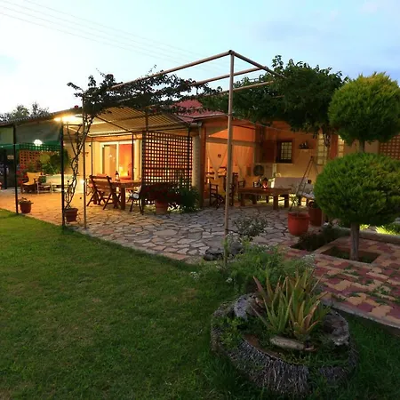 Olives House *