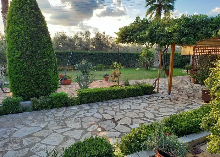 Casa de Férias Olives House