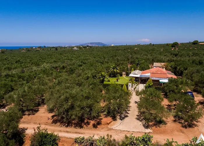 بيت للعطل Olives House