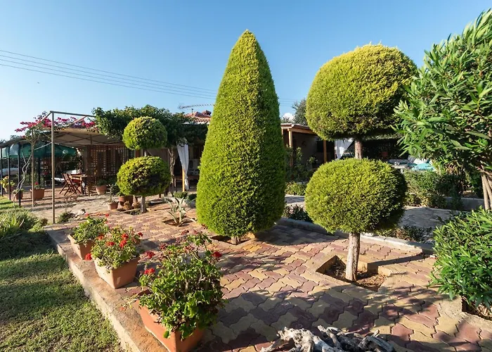 Olives House * Vromonérion